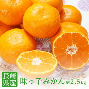 ŷΉz 茧Y C q݂ 2STCY 2.5kg q C ݂  ݂ x ݂ x ݂  q C݂ ʂ݂ Ε