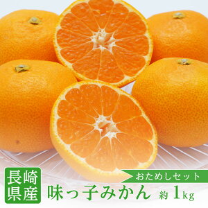 【のし対応可】送料無料 お試しセット 長崎県産 西海 味っ子みかん 2Sサイズ 約1kg 味っ子 西海 みかん 送料無料 みかん 糖度 小粒みかん 高糖度 みかん 長崎 味っ子 西海みかん 小玉みかん お