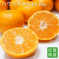 【のし対応可】 送料無料 佐賀県産 唐津 ハウスみかん S-Mサイズ 約1.6kg みかん 送料無料 みかん 糖度 …