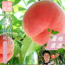山梨県産 古屋さんが作った朝もぎ甘熟桃 4‐7玉 約1.7kg 【沖縄・離島お届け不可】もも 糖度 送料無料 桃 山梨 ギフト 贈答 プレゼント 内祝い お中元