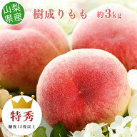 【糖度12度以上保障】【のし対応可】 特秀 山梨県産 樹成りもも 9-12玉 約3kg 【沖縄・離島お届け不可】…