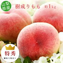 【糖度12度以上保障】【のし対応可】糖度12度以上選果 特秀 山梨県産 樹成りもも 3−4玉 約1kg 【沖縄・離島お届け不可】もも 糖度 送料無料 桃 ギフト 贈答 お中元 内祝い ギフト プレゼント