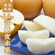 【のし対応可/インスタで話題！】 糖度13度！ 新潟県産 高糖度赤梨 5-8玉 約2.5kg 梨 幸水 梨 豊水 梨 あ…