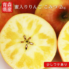 楽天市場 高徳 りんごの通販