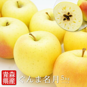 ŷΉz XY  ܖ 14-18 5kg  ܖ ܖ 5k  X  5kg  apple Mtg  t[cMtg