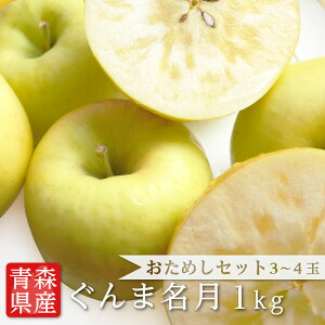 【のし対応可】送料無料 青森県産 りんご ぐんま名月 3-4玉 約1kg リンゴ 1kg 送料無料 群馬名月 ギフト 贈答 フルーツギフト プレゼント お祝い【お試しセット】