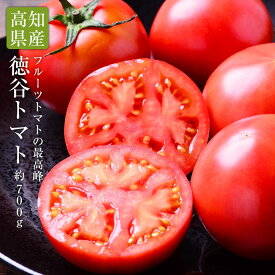 【のし対応可】送料無料 高知県産 徳谷トマト 約700g フルーツトマト 高知 トマト 送料無料 ギフト 贈答 プレゼント 内祝い 出産祝い