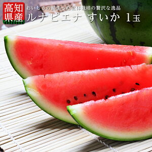 ŷΉz  mY {  isGi 2kg XCJ Mtg  v[g j oYj ~Z ~XCJ Z