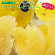 送料無料 カリフォルニア産 訳アリ メロゴールド 7〜9玉 約4.5kg グレープフルーツ オロブロンコ 家庭用