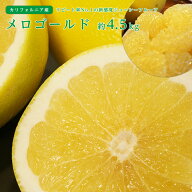 【のし対応可】送料無料 カリフォルニア産 メロゴールド 7-9玉 約4.5kg グレープフルーツ オロブロンコ …