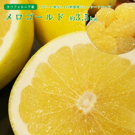 【のし対応可】送料無料 カリフォルニア産 メロゴールド 5-7玉 約3.5kg グレープフルーツ オロブロンコ …