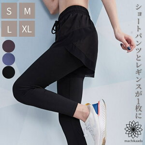 yMAX2000~OFFN[|zzIz KEFA K V[gpc pctMX Kpc MX pc fB[X  킢 jO WMO X|[cEFA g