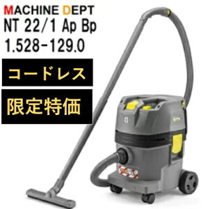 y䐔z Pq[ NT 22/1 Ap Bp 1.528-129.0 p|@ iobe[Ə[d͕ʔłj NT22/1