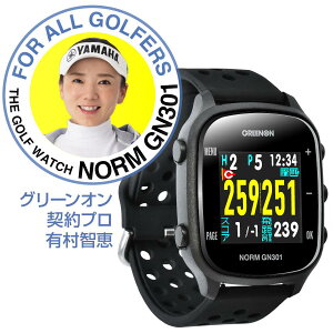 yX݌ɏizO[I UEStEHb` NORM GN301 rv^Stv GPSir X}[gEHb` v Ki GREEN ON _v Lqb