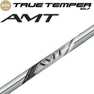 gD[ep[ AMT SILVER Vo[ ACAp X`[ Vtg Pi 1{ 2025Nf Stp[c TRUETMPER IRON Steel Golf Shaft