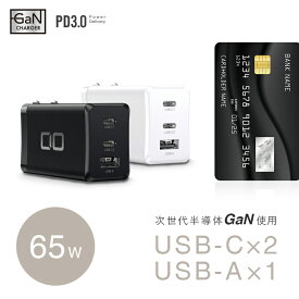 LilNob GaN 65W 充電器 世界最小級 3ポート USB ACアダプター USB-C 急速充電器 軽量 タイプC iPhone Android Macbook Pro iPad Pro iPhone15 Plus Pro Pro Max