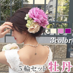 y 5 Zbgz  l O z  sN zCg p[v t[ wA[ wbhhX wAANZT[ RT[W  wbhANZ EFfBO 