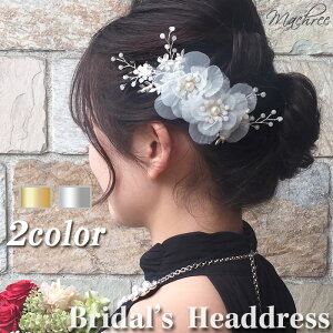 y[ zwbhhX wA[ wANbv  t[ zCg } Vo[ S[h  EFfBO p[ rW[ wAANZT[ wbhANZ  