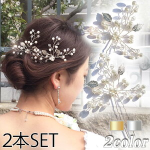 y[ zUs [t p[ }  wbhhX wAANZT[ Vo[ S[h  wbhANZ EFfBO p[eB[  񎟉 I uC_ 