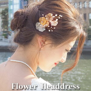 y[ z t[ 񂴂 Us } S[h ^ p[  wA[ wAANZT[   wbhhX RT[W wbhANZ l a EFfB