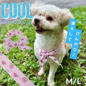 p N[lbN pr[Y MǑ΍ ėp 񌳂Ђ ЂObY ^ ^  lbNN[[ ׂ^Cv y K  ybgp ⊴ACe sN M L 