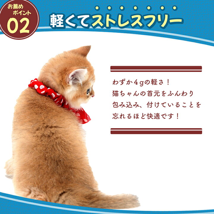 楽天市場】猫 首輪 シュシュ首輪 猫用シュシュ ドット柄 水玉 猫首輪  