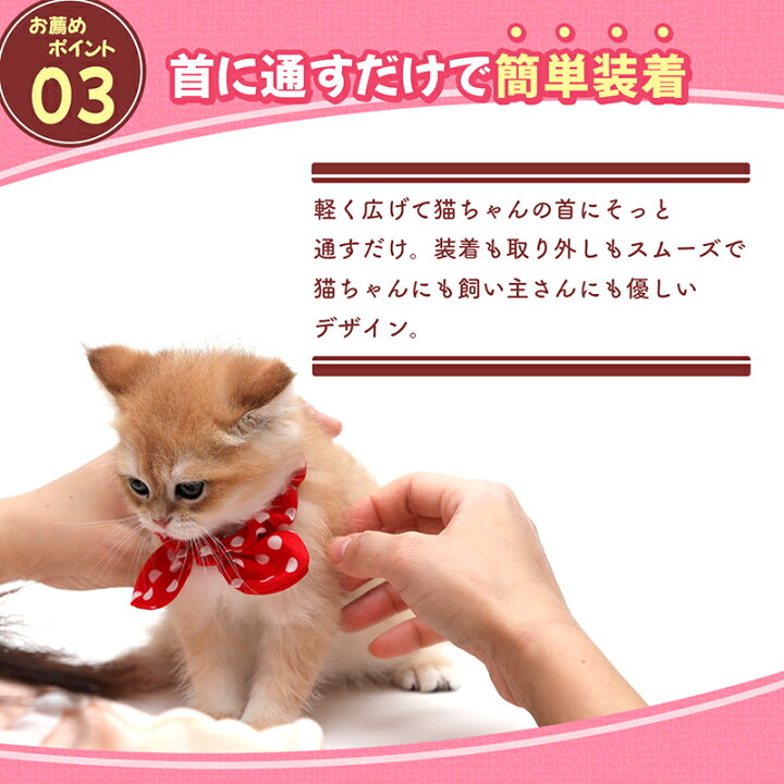 楽天市場】猫 首輪 シュシュ首輪 猫用シュシュ ドット柄 水玉 猫首輪  