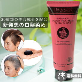 お買い物マラソン【ポイント最大47倍】 坂巻哲也 ヘアローブ ボタニカルカラートリートメント HAIR ROBE BOTANICAL COLOR TREATMENT 400g　2本セット ブラシ付き