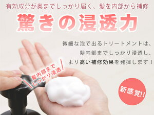 CUTECHMICROFORMキューテックマイクロフォームセットクレンジングセラム450mlプロテクトセラム450ml
