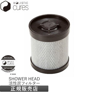 y[J[FؐK̔XzzXeBbNLA V[wbh p LANX^tB^[ YtB^[ HOLISTIC CURE SHOWER HEAD