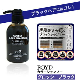 楽天スーパーSALE【ポイント最大46倍】 ROYD ロイド カラー シャンプー トリートメント 300ml ムラサキ シルバー アッシュ ピンク カバー ムラシャン ブラック カラー長持ち 白髪 青 紫 黒 紫シャンプー ブロンドヘア 金髪 あす楽