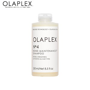 yK̔XzOLAPLEX IvbNX No.4 {heiX Vv[ 250ml /1000ml fC[ Vv[ u[` _[WPA Ki wA  e  c P GCWOPA 