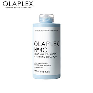 yK̔XzOLAPLEX IvbNX No.4C {heiXNt@COVv[ 250ml 1000ml NWO Vv[ u[` _[WPA Ki wA   c P