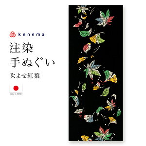 全品対象★最大1000円クーポン配布中☆10/30まで てぬぐい 手ぬぐい 手拭い おしゃれ 日本製 タペストリー 額縁 吹よせ紅葉 秋 注染 kenema メール便