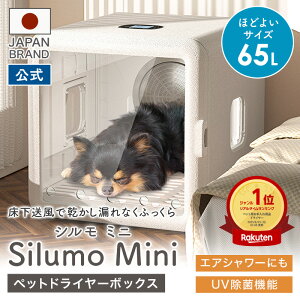 \19,999~y2025NVzybghC[ Silumo mini V~j ybghC[nEX hC[ 65L  L   hC[{bNX ybghC[ hC{