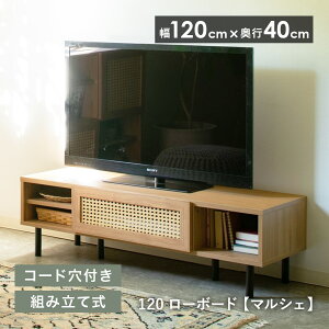 120[{[h }VF 120cm TV AV{[h er{[h rO [Ƌ er p\R AV [{[h ^ ؍