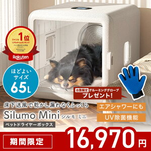 Z[I3016,970~piv[gy2025NVzybghC[ Silumo mini V~j ybghC[nEX hC[ 65L  L   hC[