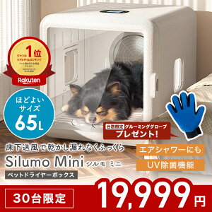 30艿i19,999~ybgpiv[gy2025NVzybghC[ Silumo mini V~j ybghC[nEX hC[ 65L  L   hC[{bNX y