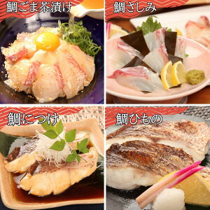 Ε ÎY^Mtg (e: ₲ܒЂ Ђ ɂ ⍩z e3) jMtg 蕨  hg Ԃ CNMtg v[g  a j  Mtg Ђ 