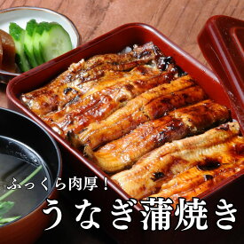 お年賀 うなぎ蒲焼き 約120g×16袋 土用の丑の日 うなぎ ギフト 土用丑 うなぎ ウナギ 鰻 蒲焼き 蒲焼 食べ物 高級ギフト 食べ物 食品 誕生日 お返し お祝い 快気祝い お礼 うなぎ小分け 少量サイズ 鰻のかばやき うなぎかばやき 鰻蒲焼き 母の日 父の日