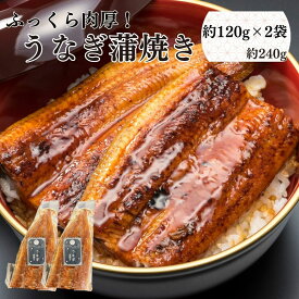 お年賀 ( うなぎ蒲焼き 約120g×2袋) うなぎ ギフト 土用の丑の日 うなぎギフト うなぎプレゼント 土用丑 ウナギ 鰻 蒲焼き 蒲焼 食べ物 高級 グルメ 食品 誕生日 お返し お祝い 少量サイズ 鰻のかばやき うなぎかばやき 鰻蒲焼き 敬老の日 お中元 御中元 父の日 母の日