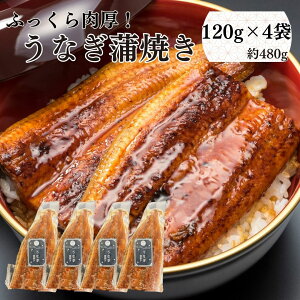 Ε ȂĂ 120g×4 v480g ȂMtg yp̉N̓ Ȃ Mtg YȂ EiM V Ă  Hו  O Hi a Ԃ j Cj ސEj 