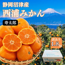 【予約品】訳あり 寿太郎みかん 約4キロ箱込み 訳ありみかん 寿太郎みかん 西浦みかん 沼津産 みかん にしうらみかん 訳あり みかん 自宅用 お得品 沼津 みかん 西浦みかん 甘みと酸味のバランスが良い おみかん お得みかん ミカン 蜜柑 かんきつ 柑橘 お取り寄せ