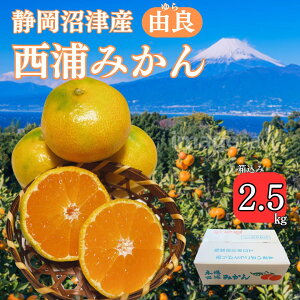 予約みかん【 訳ありみかん 約2.5キロ箱込み】品種: 由良 ゆらみかん 極早生みかん 早生みかん 西浦みかん 訳ありみかん わせみかん ご自宅用 訳あり みかん お得品 静岡 沼津 にしうらみか