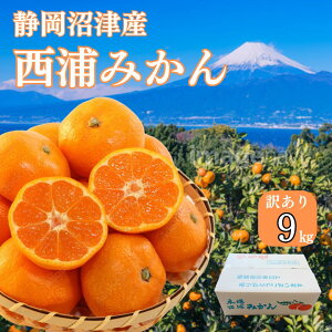 󂠂݂ yi킨܂z 9L() ݂ Y݂ ݂ ݂  󂠂 ݂ i É  ɂ݂ Â݂Ǝ_̃oXǂ ݂ 