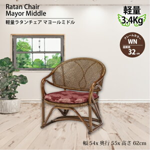  ŒZo ^`FA ʍ32cm ̓ ̓ hV̓  RpNg y d3.4kg و֎q ق كCX a ֎q  CX `FA a  f ^  Kazama 