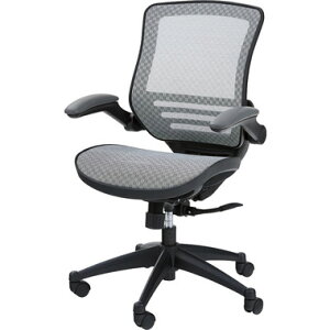 ItBX`FA fXN`FA 62cm O[ It LX^[ \tgU[ rO ݑ[N e[N