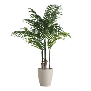 ȒPtFCNO[@AJV@STCY(120cm)