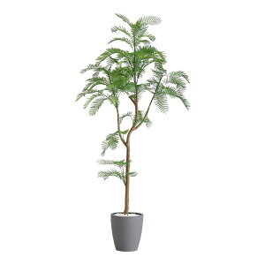 ȒPtFCNO[@Go[tbV@LTCY(180cm)