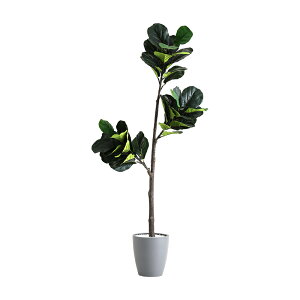 ȒPtFCNO[@tBJXE[^@STCY(120cm)